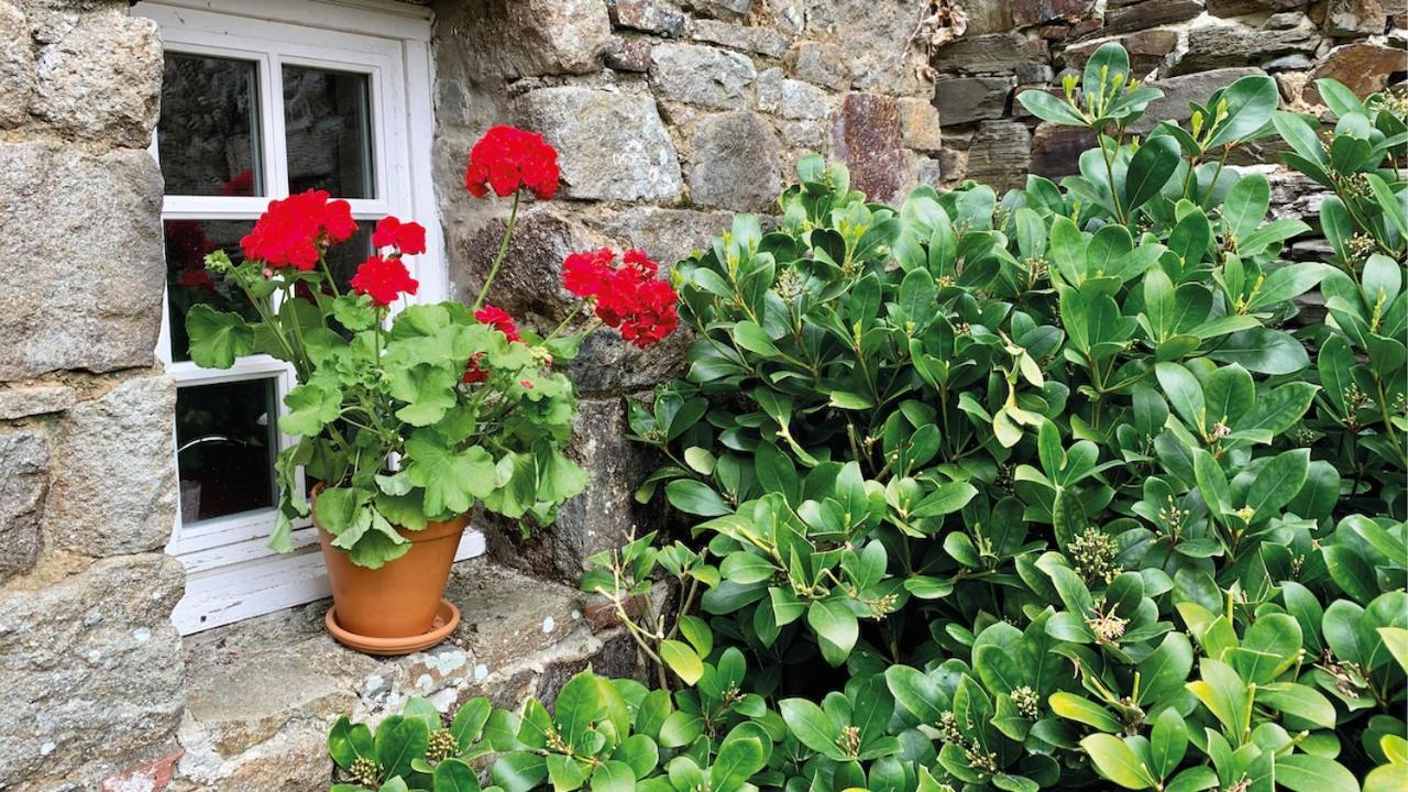 Manoir De La Begaudiere Mont-Dol エクステリア 写真