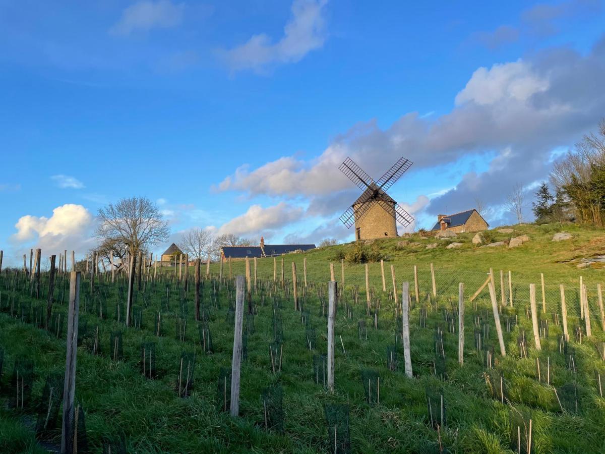 Manoir De La Begaudiere Mont-Dol エクステリア 写真
